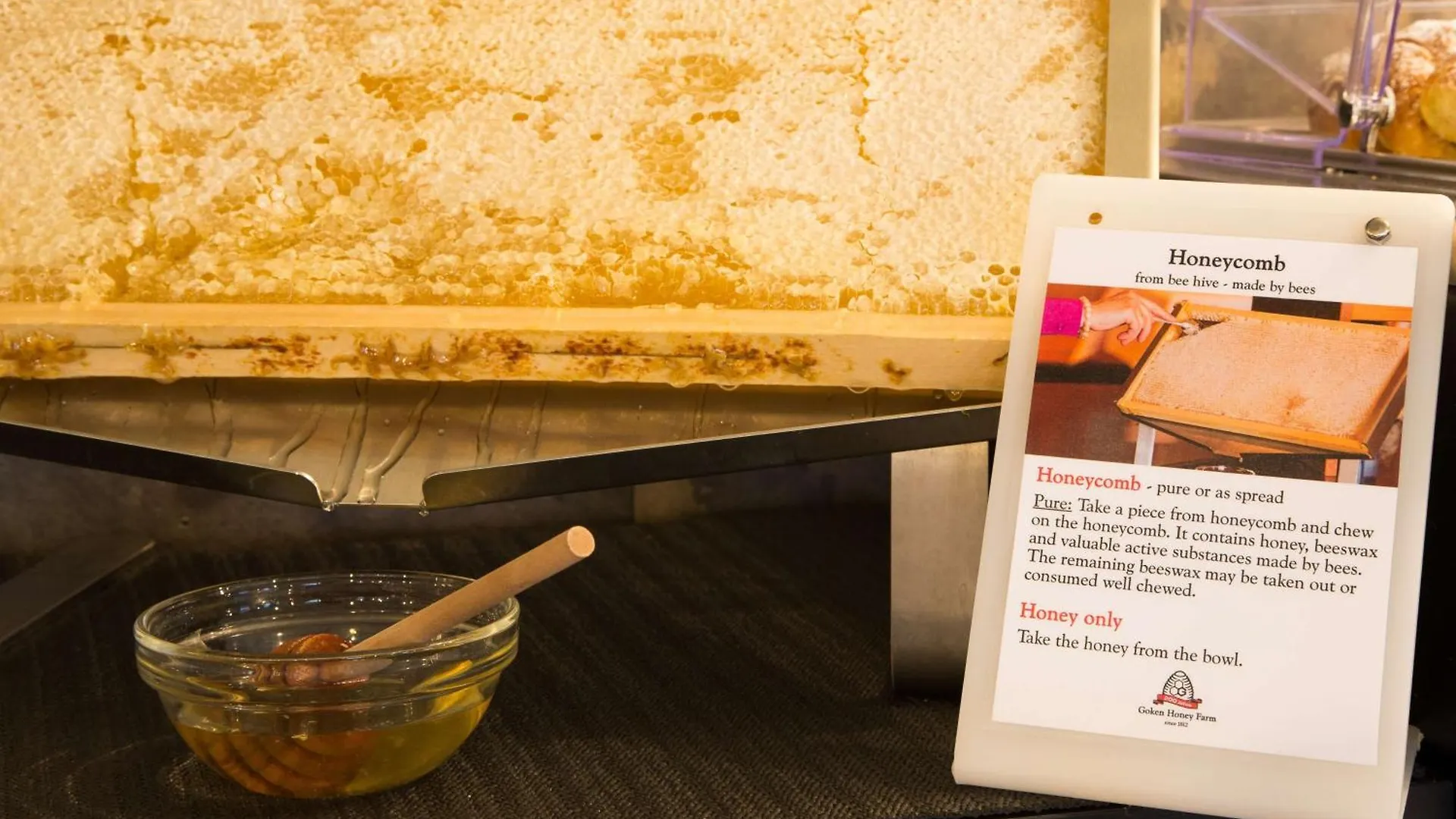 5 Hotel Aeroporto a Novoli - San Donato da Prenotare